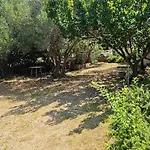 Lucy's Place * מורטר