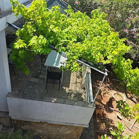 Lucy's Place