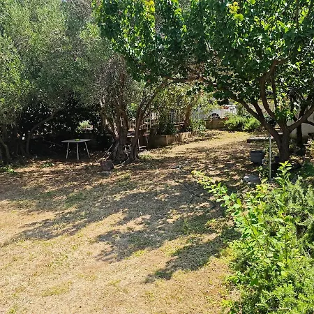 Lucy's Place * ムルテル